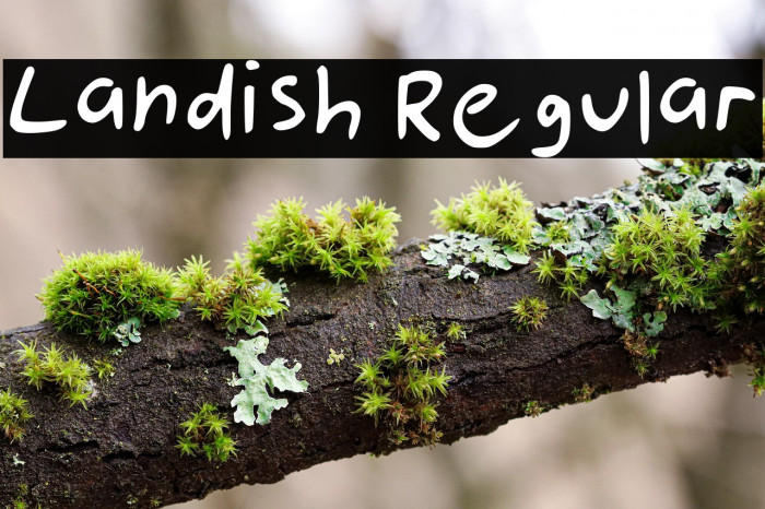 Landish Regular Example 1