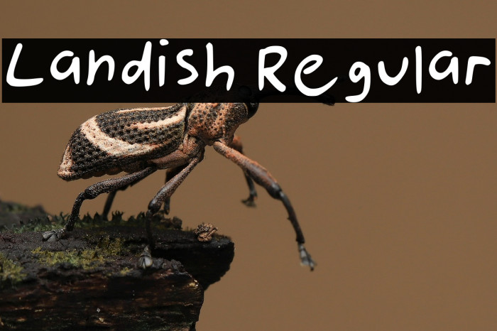 Landish Regular Example 2