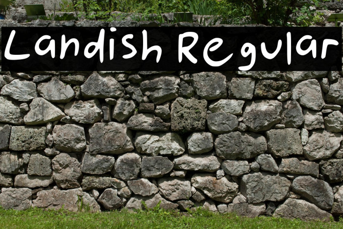 Landish Regular Example 3