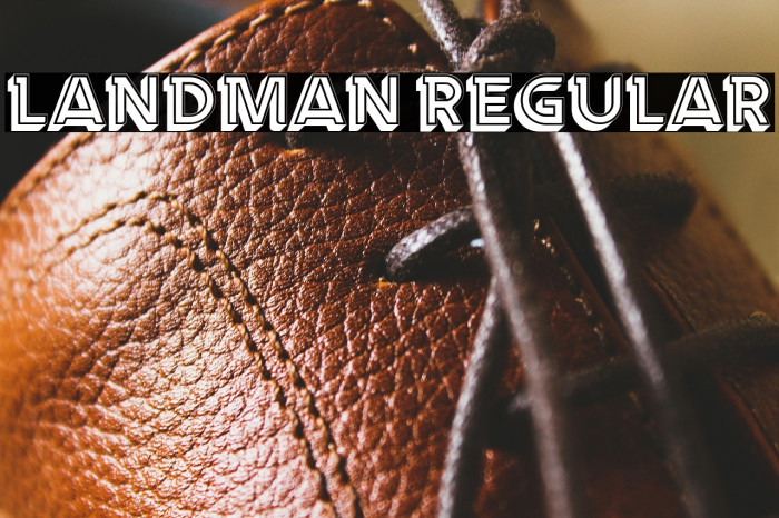 Landman Regular Example 1