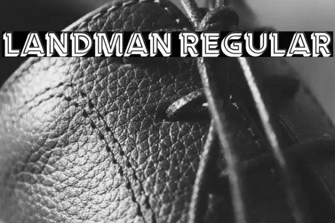 Landman Regular Font examples