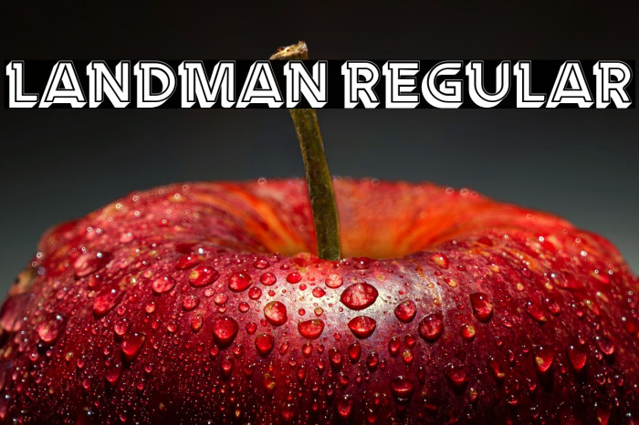 Landman Regular Example 2