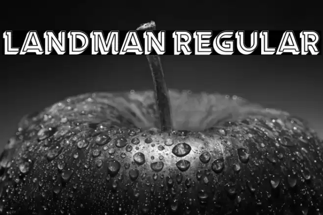 Landman Regular Font examples