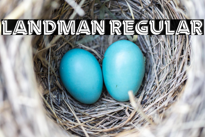 Landman Regular Example 3