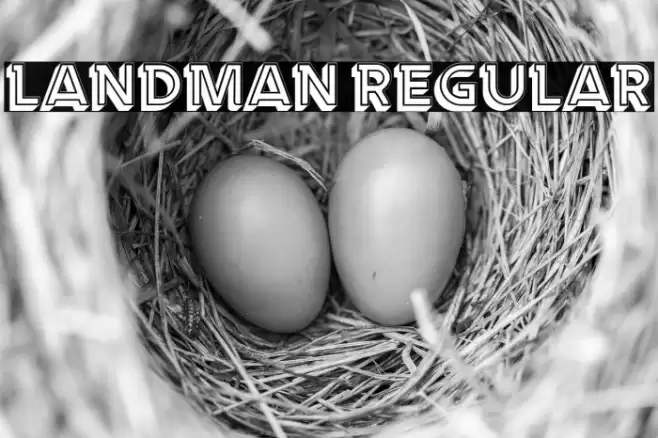 Landman Regular Font examples
