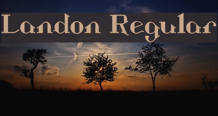 Landon Regular Font examples