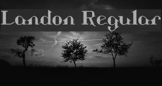Landon Regular Example 3