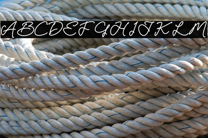 Landon Slatten Example 2