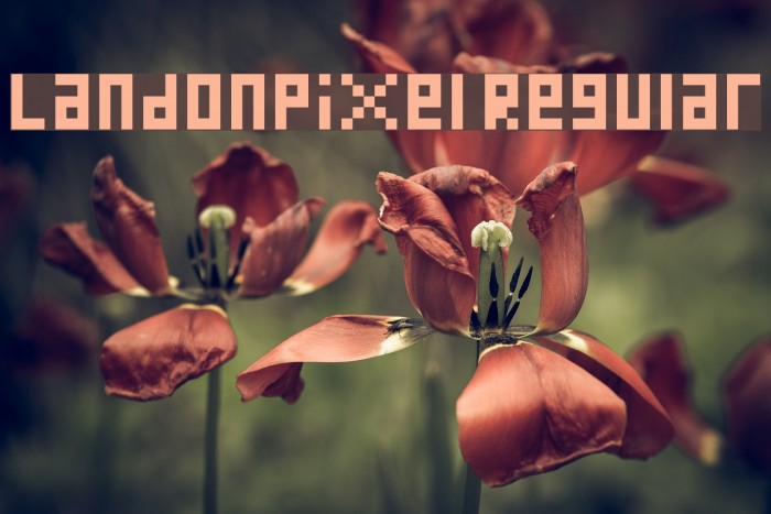 LandonPixel Regular Example 1