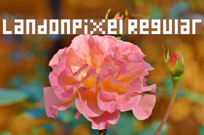 LandonPixel Regular Example 3