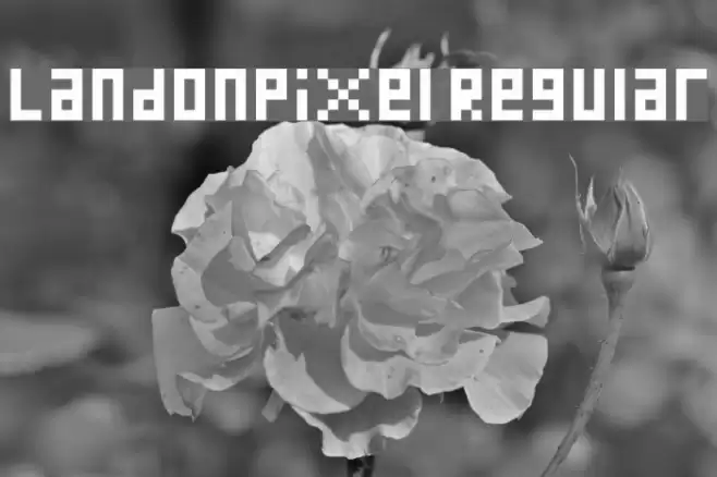 LandonPixel Regular Font examples