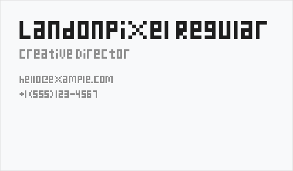 LandonPixel Regular Business Card