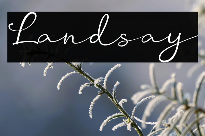 Landsay Example 2
