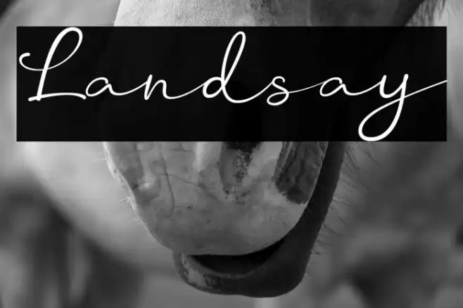 Landsay Schriftart examples