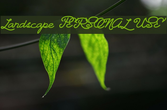 Landscape PERSONAL USE Font examples