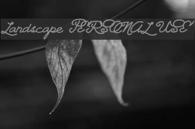 Landscape PERSONAL USE Font examples