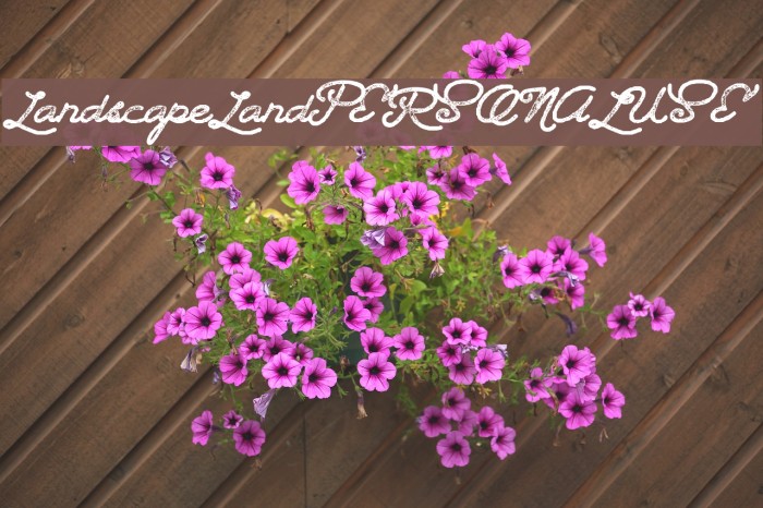 LandscapeLandPERSONALUSE Fuentes examples