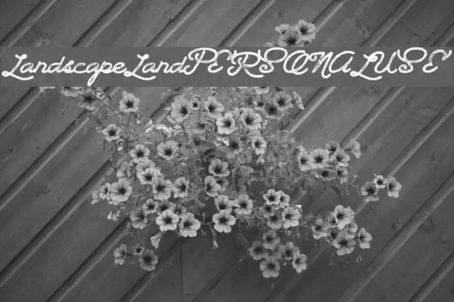 LandscapeLandPERSONALUSE Fuentes examples