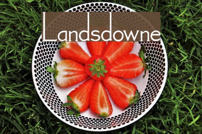 Landsdowne Font examples