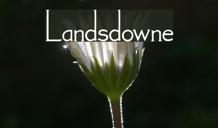 Landsdowne Font examples