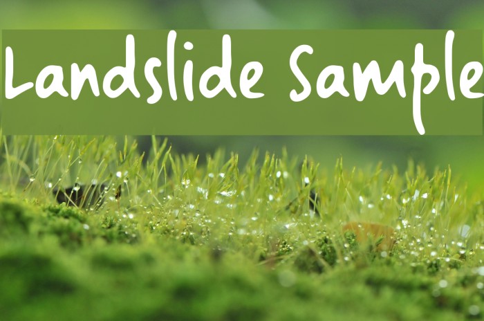 Landslide Sample Font examples