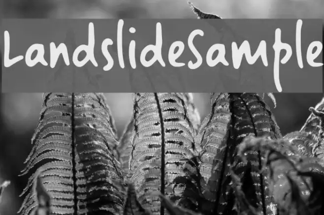 LandslideSample Example 1