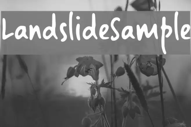 LandslideSample Example 2