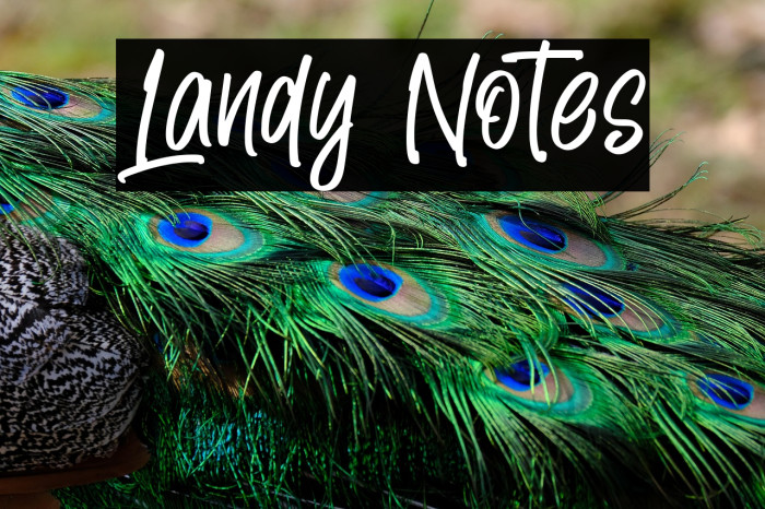Landy Notes Example 1
