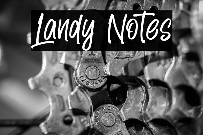 Landy Notes Example 3