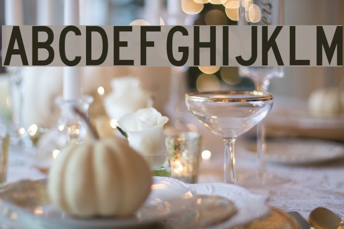 Lane B Font examples