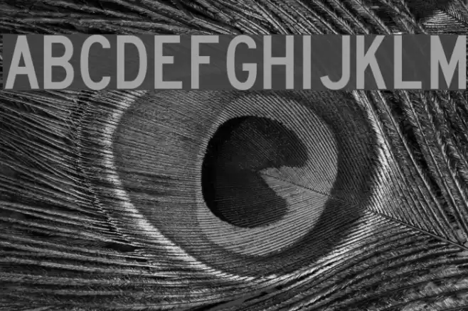 Lane B Font examples