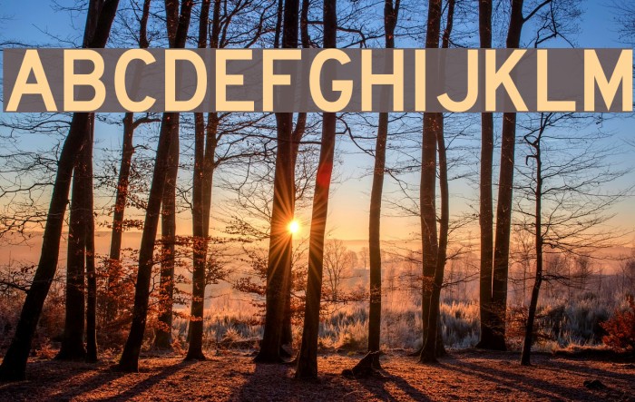 Lane C Font examples