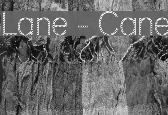 Lane - Cane Example 1