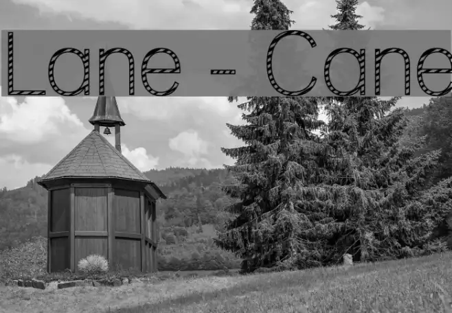 Lane - Cane Example 3