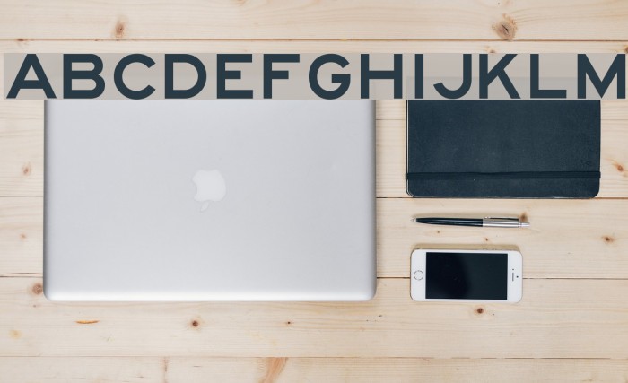 Lane E Font examples