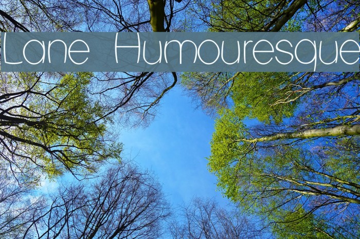 Lane Humouresque Font examples