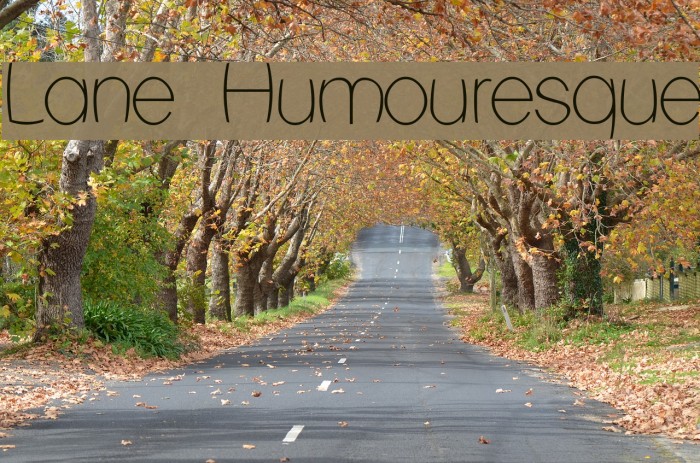 Lane Humouresque Font examples
