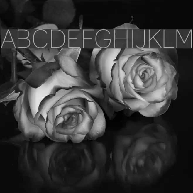 Lane Narrow Light Font examples