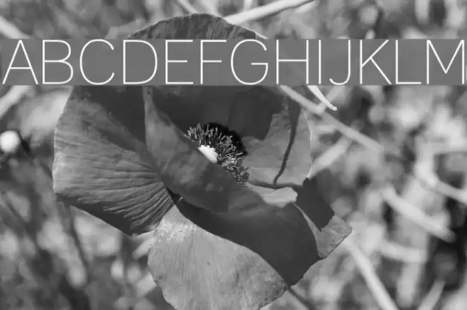 Lane Narrow Light Font examples