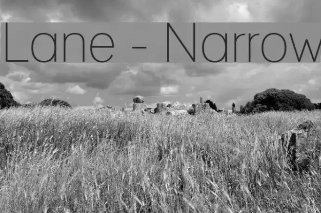 Lane - Narrow Font examples