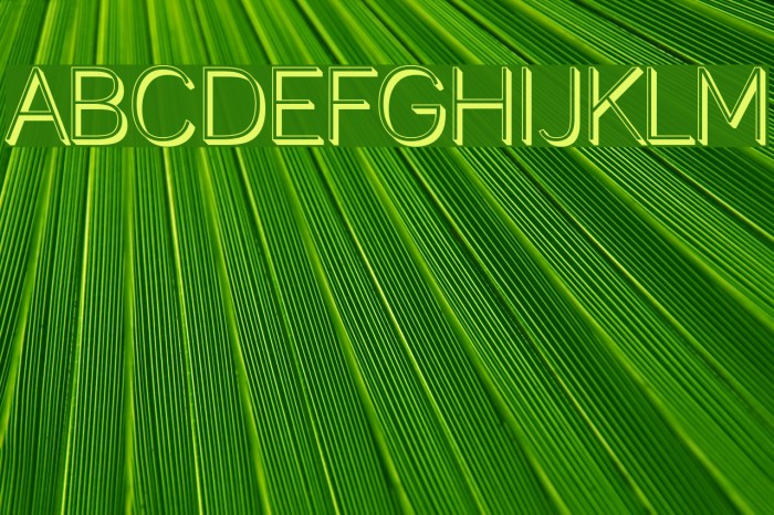 Lane Posh Light Font examples