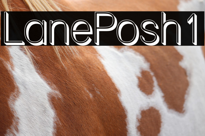 Lane - Posh1 Example 1