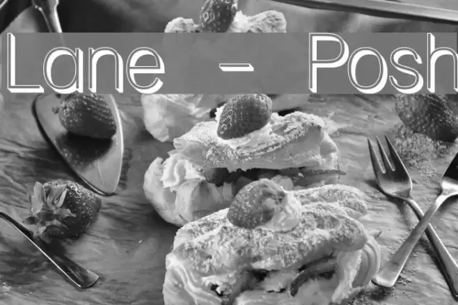 Lane - Posh Font examples