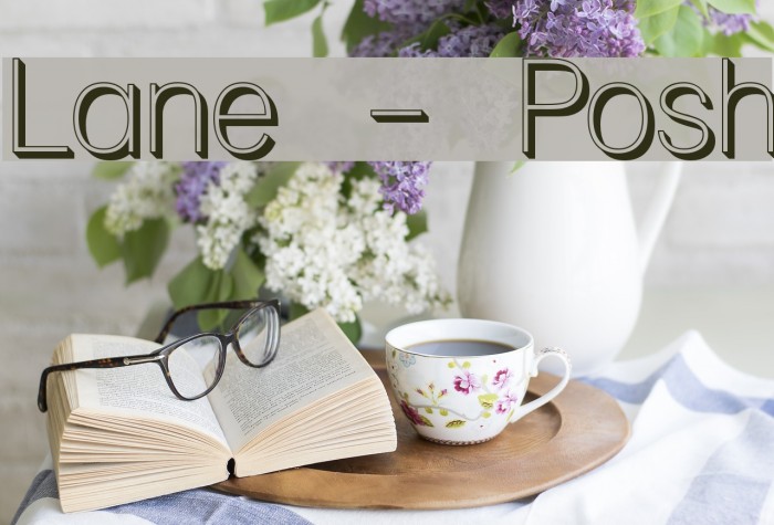 Lane - Posh Font examples