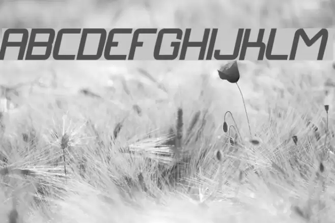 Langó BoldItalic Font examples