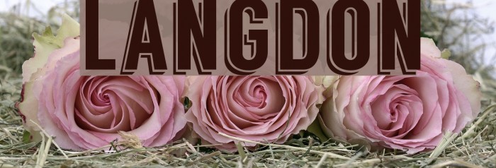 Langdon Font examples