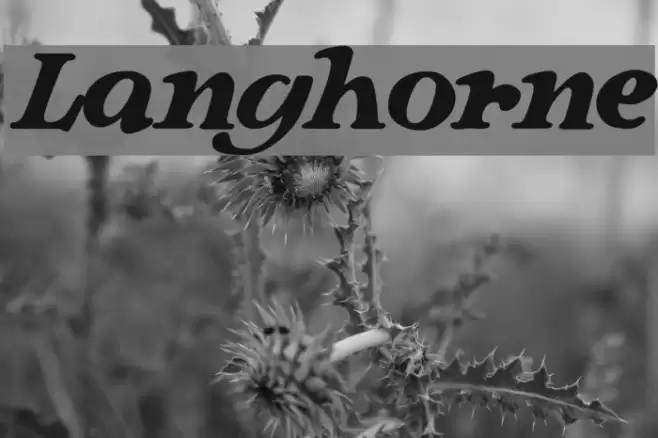 Langhorne Font examples