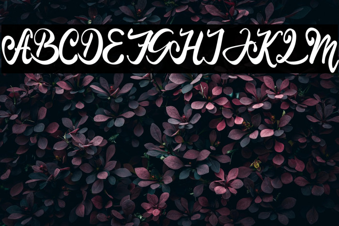 Langit Merah Example 2