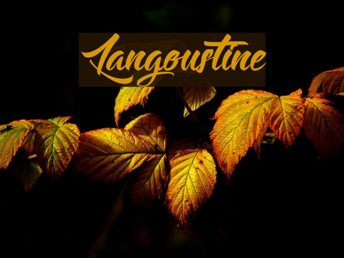 Langoustine Font examples