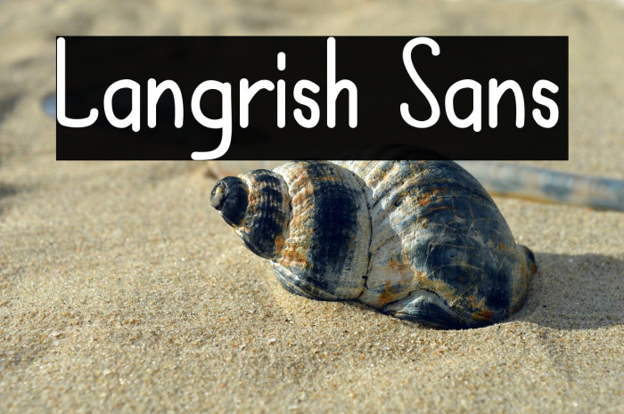 Langrish Sans Example 1